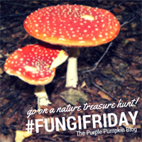 #FungiFriday on The Purple Pumpkin Blog