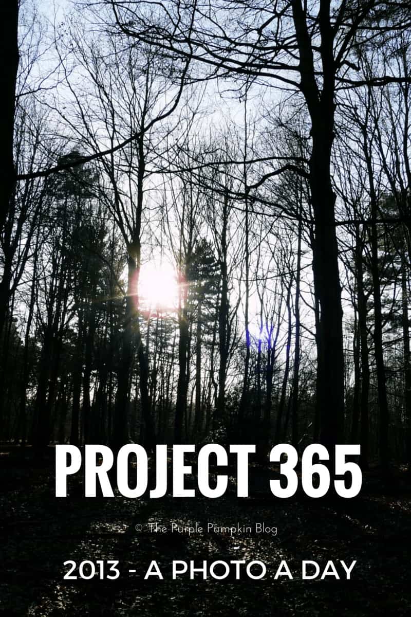 Project 365 - 2013
