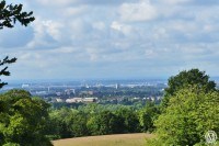 Bedfords Country Park Essex