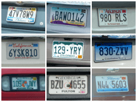US License Plate Bingo [Free Printable]