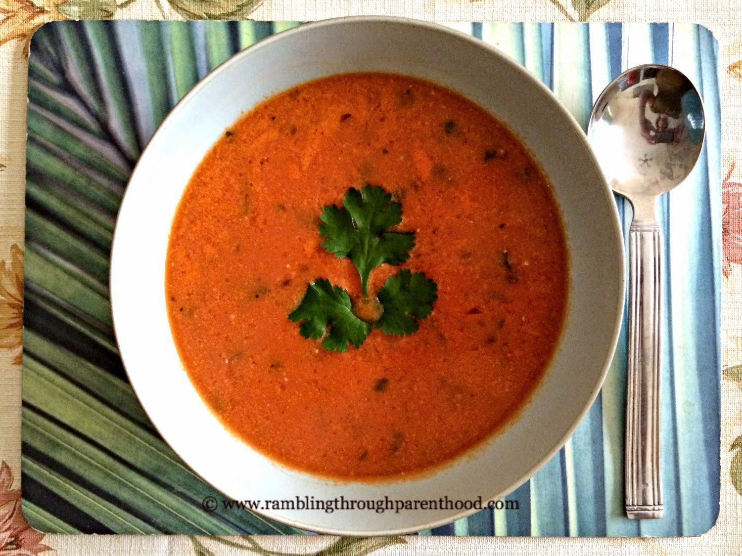 Tomato & Coconut Soup