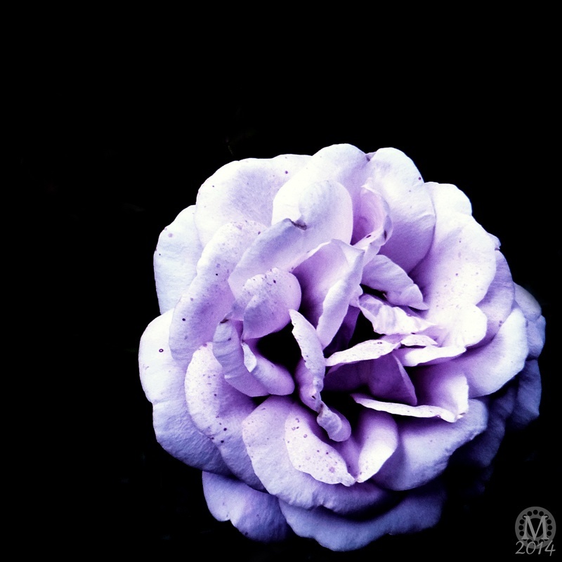 P365-2014_Day258