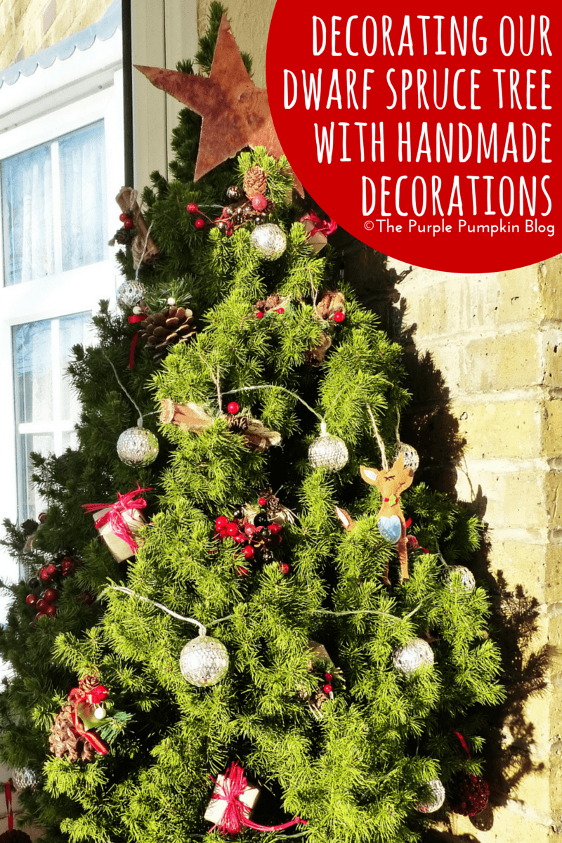 Decoration our Dwarf Spruce Tree with Handmade Decorations