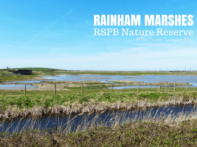 Rainham Marshes RSPB Nature Reserve Essex