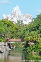 Expedition Everest at Animal Kingdom