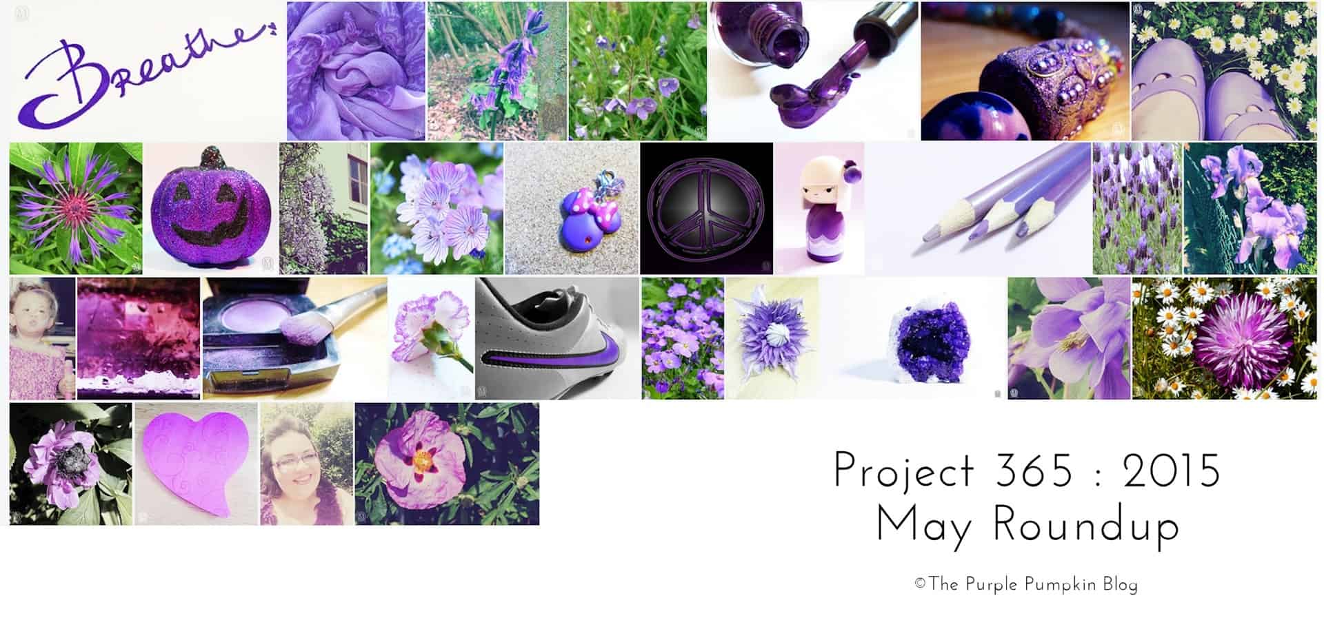 May Roundup Project 365 2015