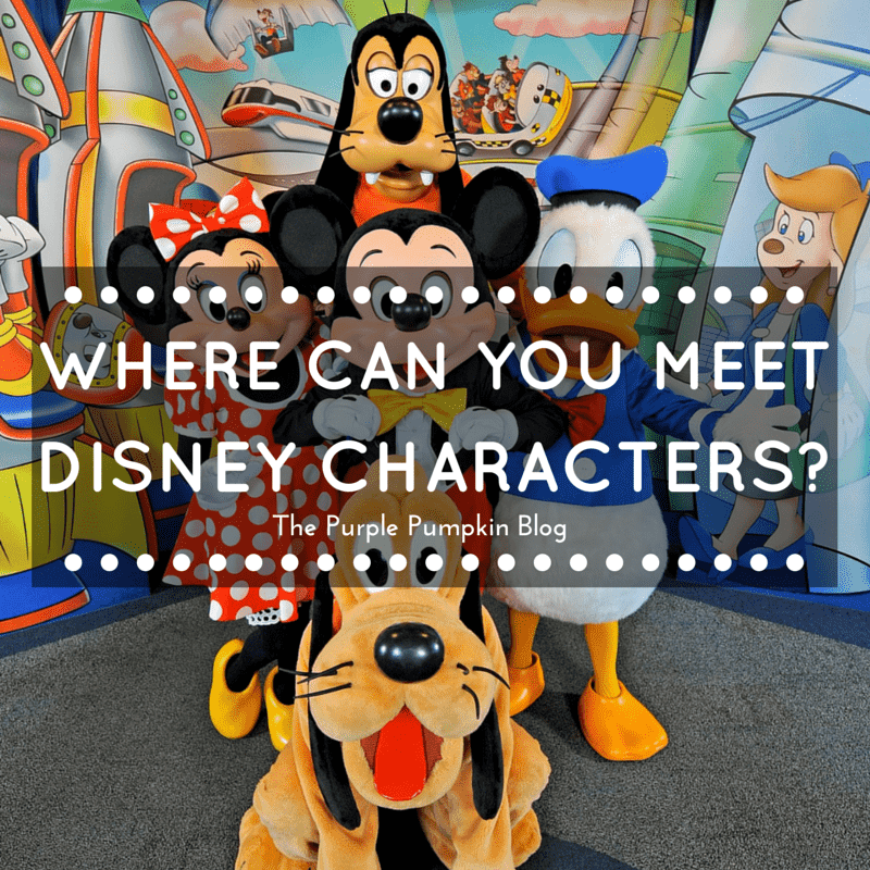 Where Can You Meet Disney Characters