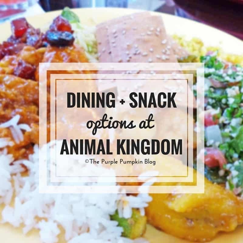 Dining + Snack Options at Animal Kingdom