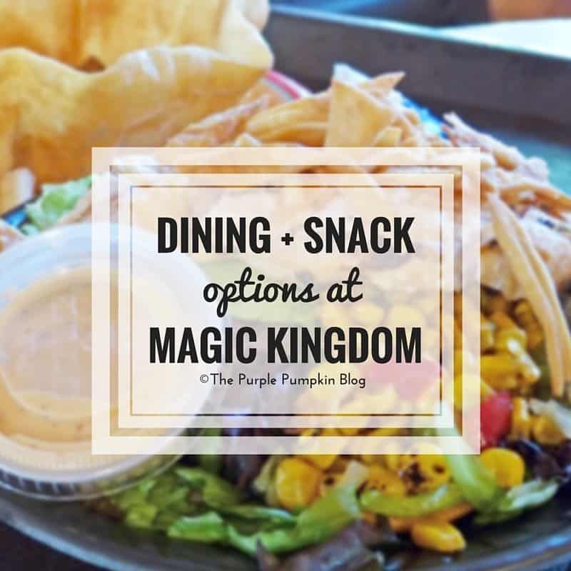 Dining Snack Options at Disney