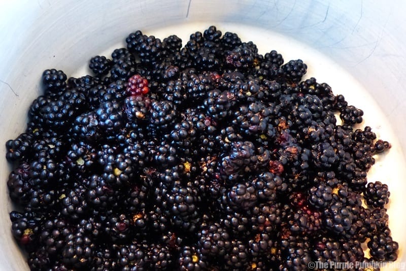 Blackberry + Apple Jam - Blackberries