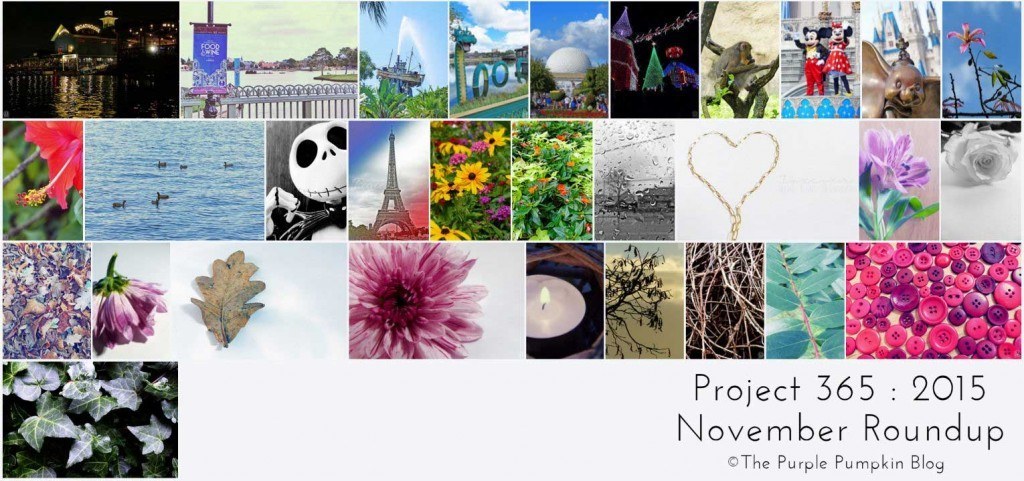 November Roundup Project 365 2015