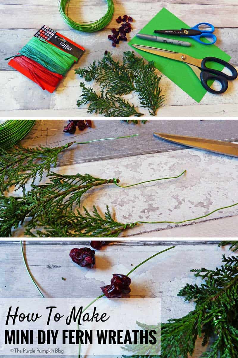 How To Make Mini DIY Fern Wreaths. You could use ferns, twigs or even herbs from the garden.