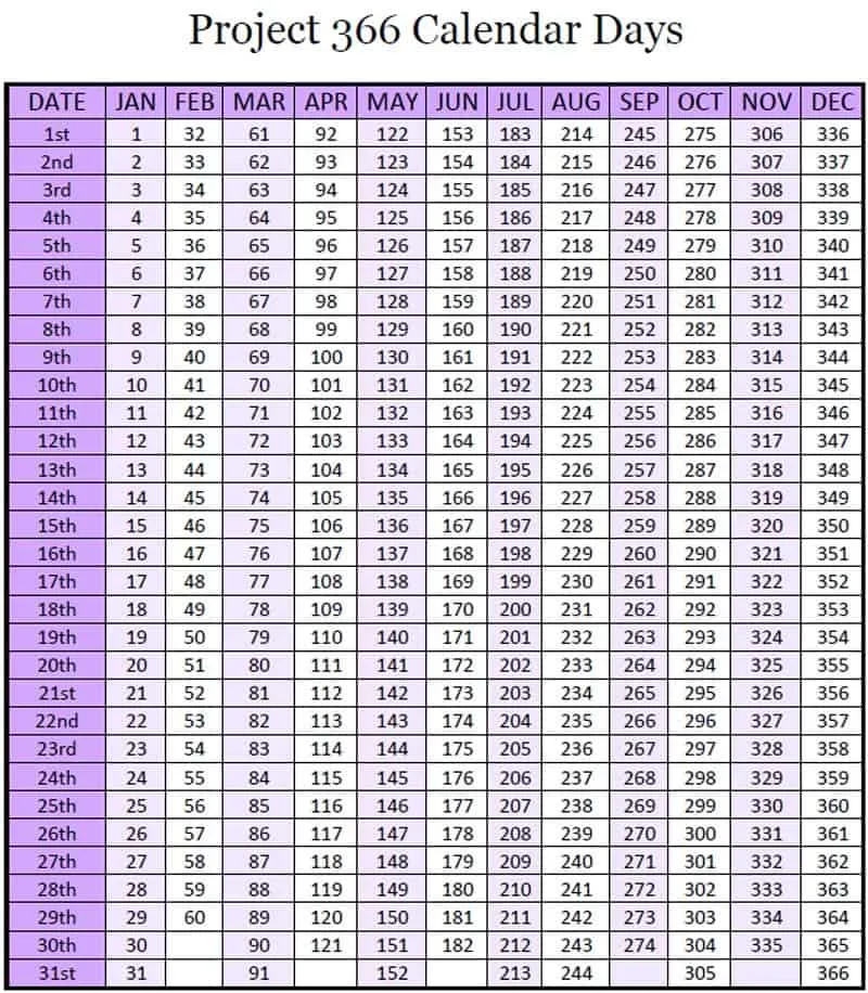 Project 365 / Project 366 Calendar Days - Free Printable