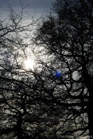 Winter in Bedfords Park, Romford, Havering, Essex