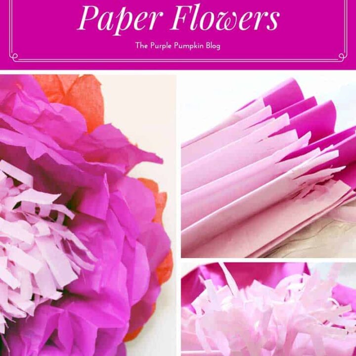 How To Make Tropical Tissue Paper Flowers