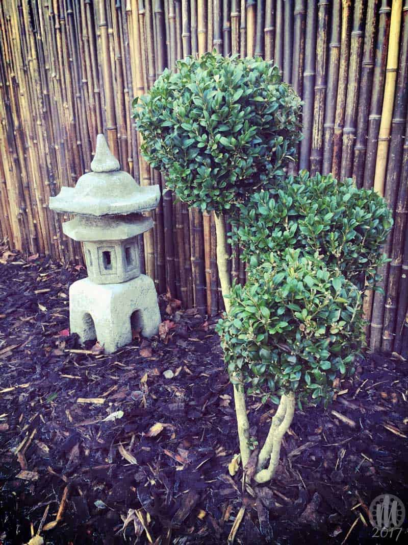 Project 365 - 2017 - Day 5: Stone lantern garden ornament, and small shrubs