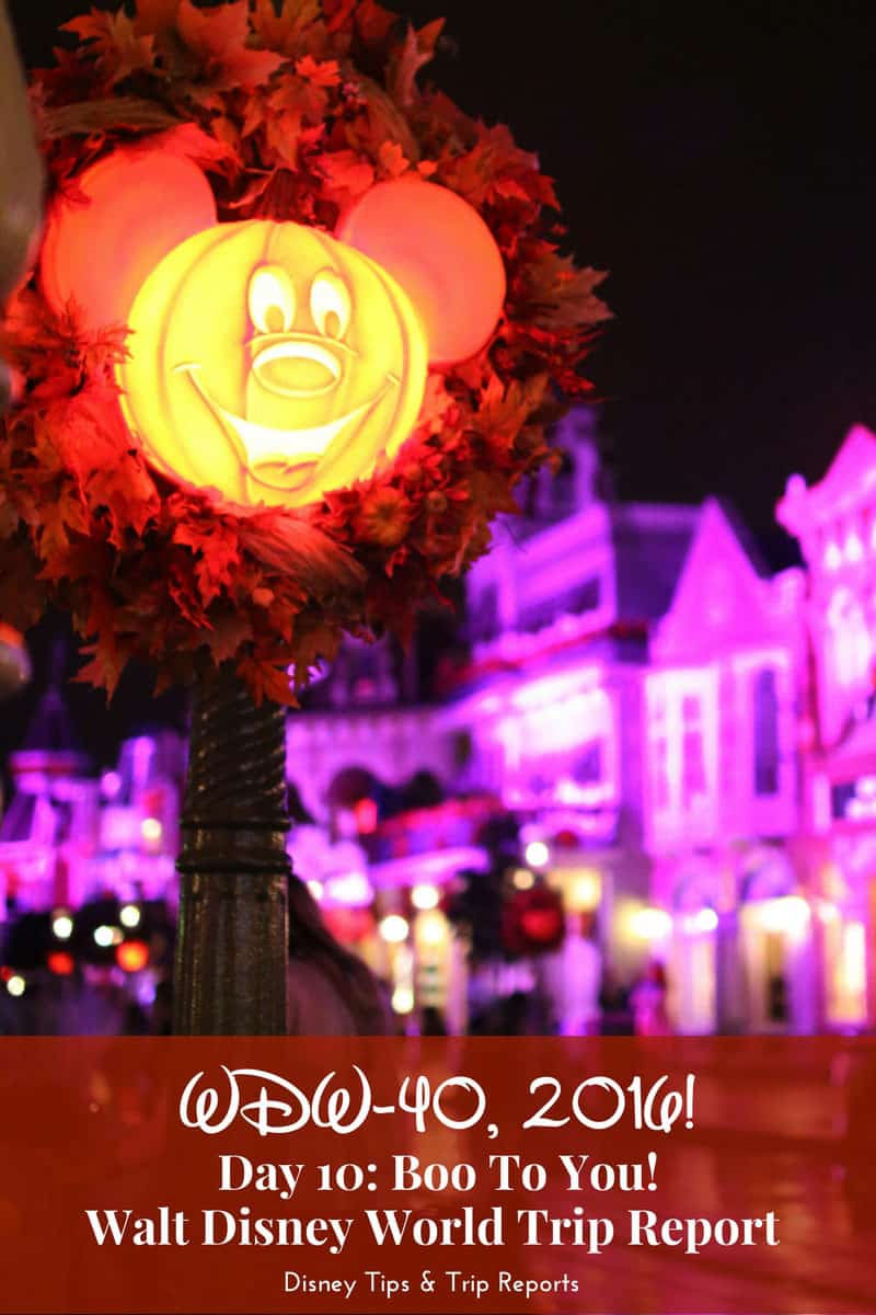 Day 10 - Boo To You! - WDW-40, 2016