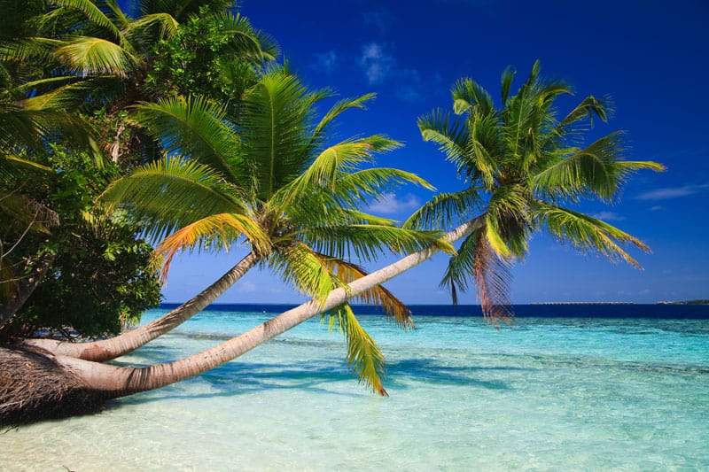 Epic Escapes Wanderlust Bliss