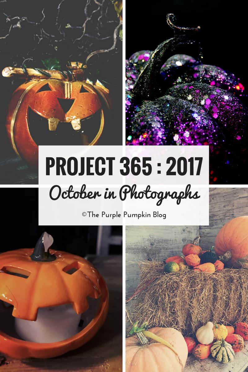 Project 365 : 2017 - October - a month of photos