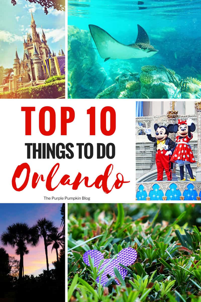 Top 10 Things To Do In Orlando! Are you planning a holiday to Orlando, Florida? Not sure where to start? Let me guide you with my list of the Top 10 Things To Do In Orlando, Florida! Orlando may be called the theme park capital of the world, but there is so much more to see than Mickey Mouse!