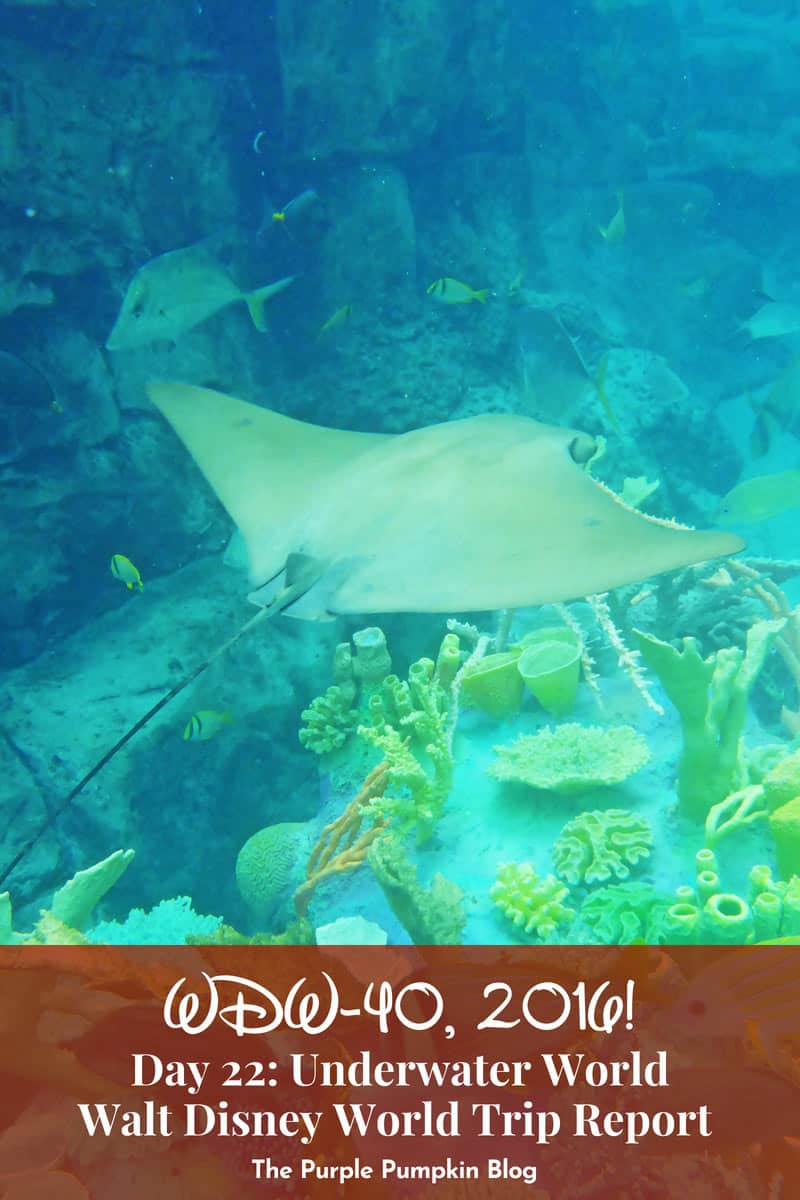 Things to do in Orlando - Discovery Cove. Discovery Cove is an all-inclusive day resort where you can swim with dolphins, rays, and hundreds of reef fish. Plus see tropical birds and other wildlife at this serene oasis in Orlando, Florida. Read about a day spent at this tropical paradise, with tips and lots of great photos