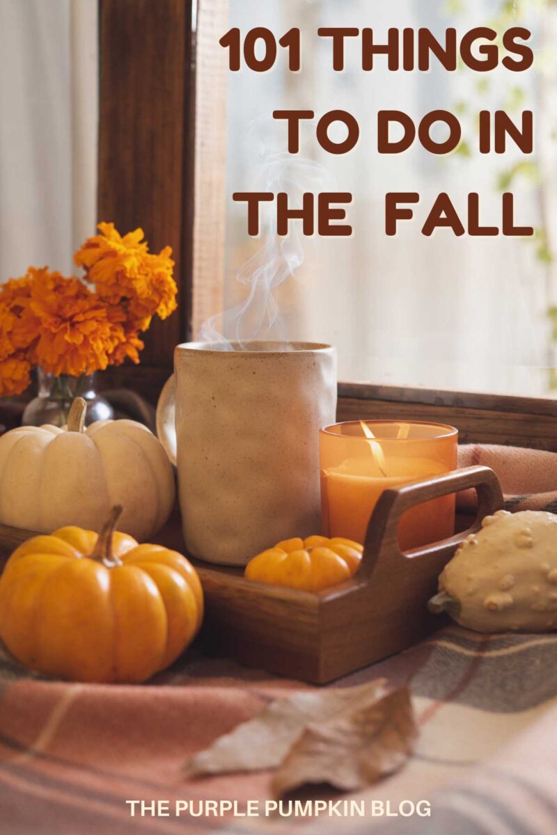 101 Things To Do in the Fall