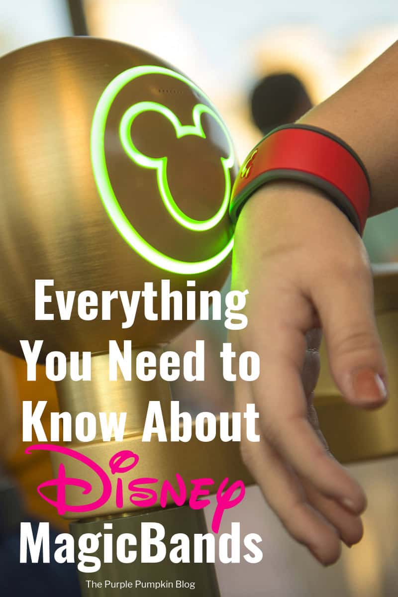 MagicBands are just one of the perks that Walt Disney World offers that sets them apart from other theme parks. This post tells you everything You Need to Know About Disney MagicBands!