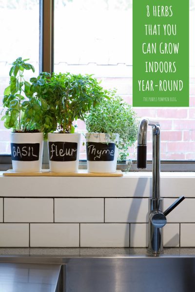 8 Herbs that You Can Grow Indoors + Recipes Using Fresh Herbs