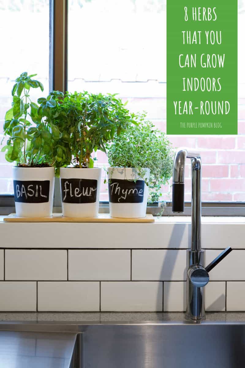 8 Herbs that You Can Grow Indoors Year-Round