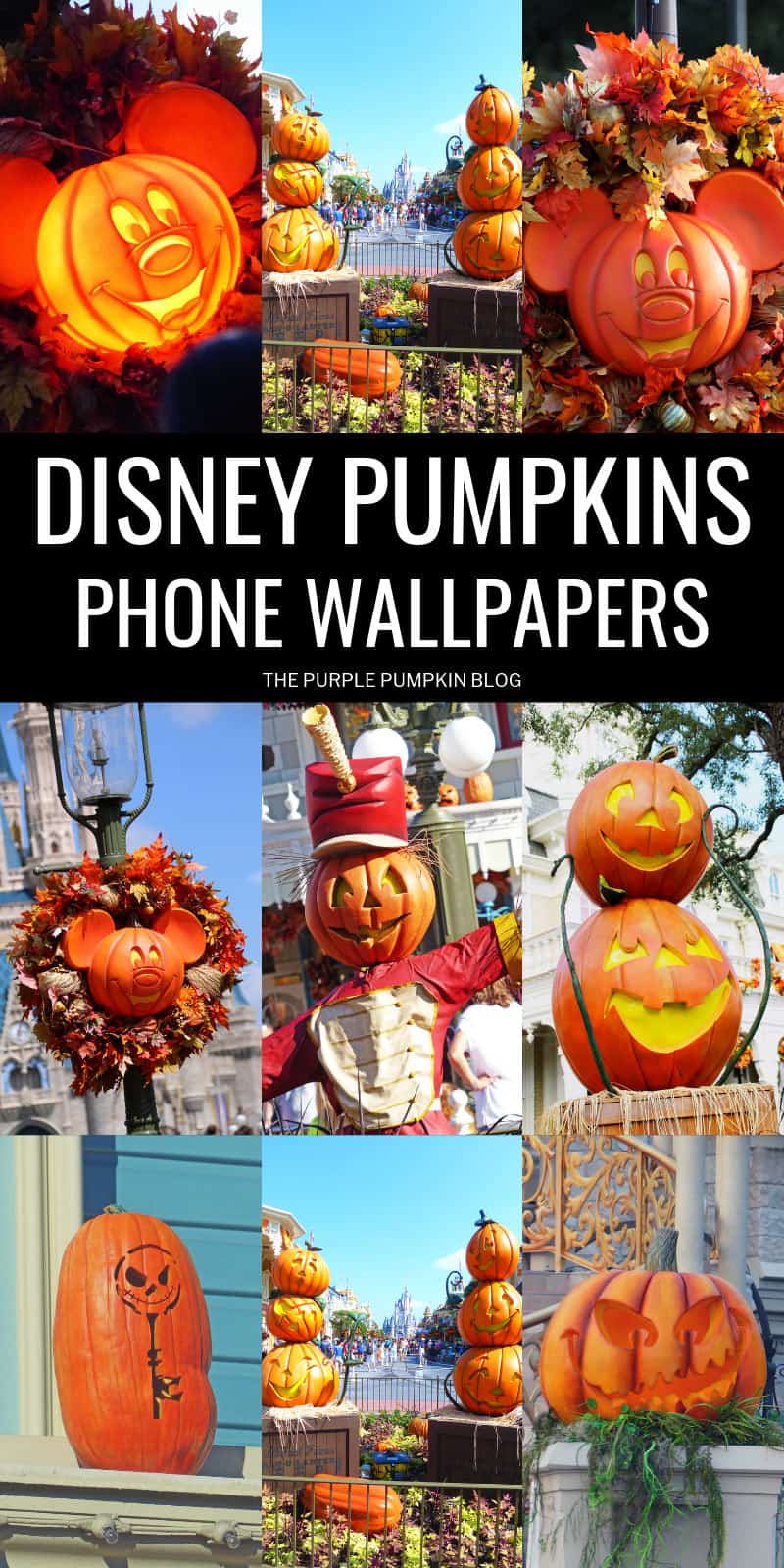 Disney Halloween Pumpkins Phone Wallpapers