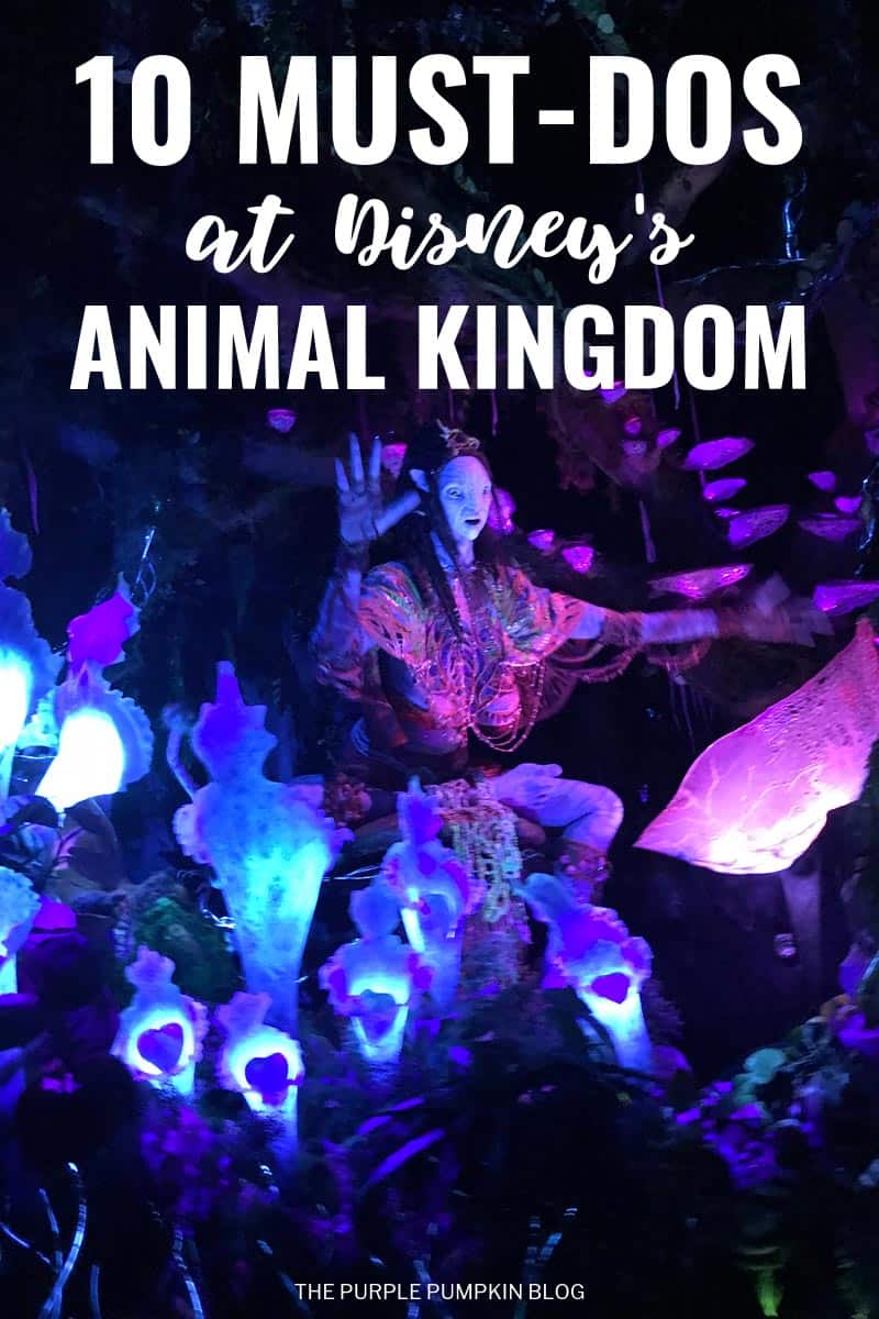 10 Must-Dos at Disney's Animal Kingdom