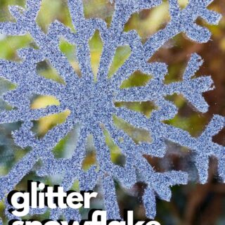 Glitter Snowflake Craft