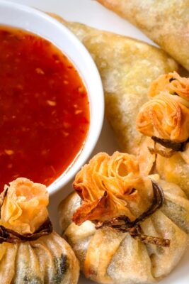 Chinese Fried Wontons
