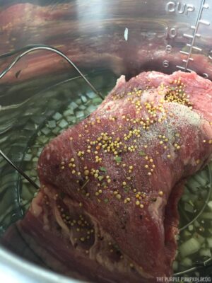 Beef brisket with spices on top