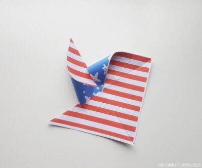 Pinwheel Fold 2
