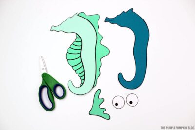 Cut Seahorse Pieces
