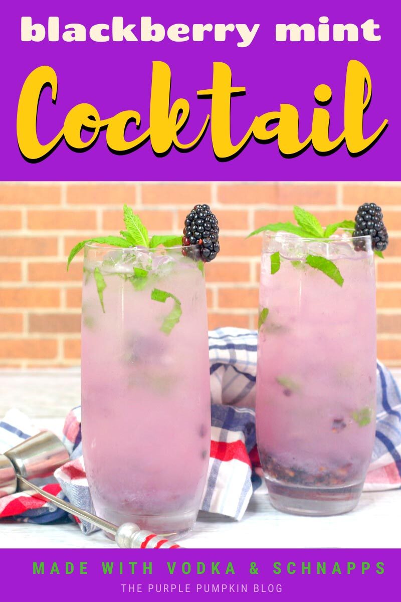 Blackberry Mint Cocktail