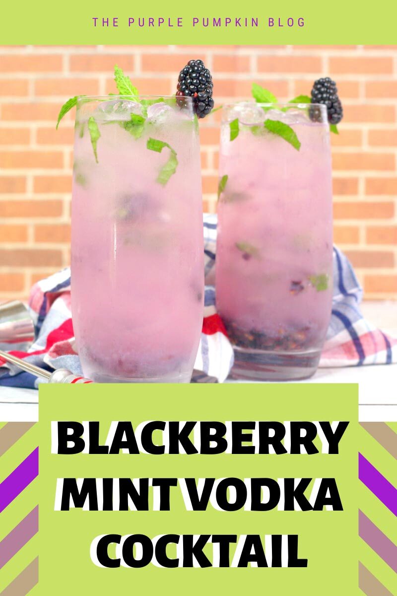 Blackberry Mint Vodka Cocktail