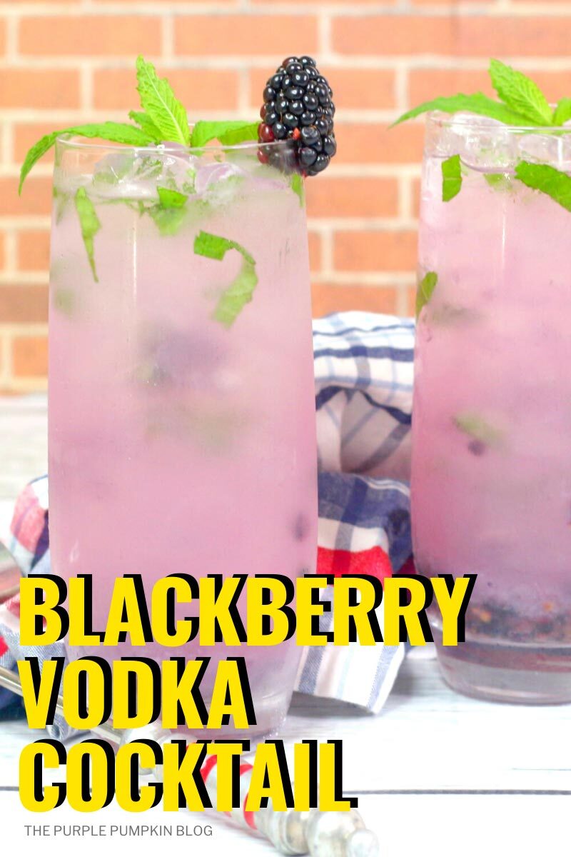Blackberry Vodka Cocktail