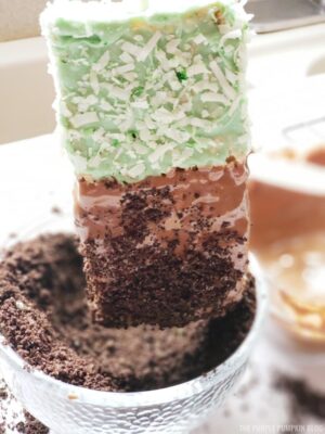 Dipping treats into cookie "dirt"