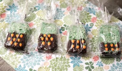Packaged rice krispies treats