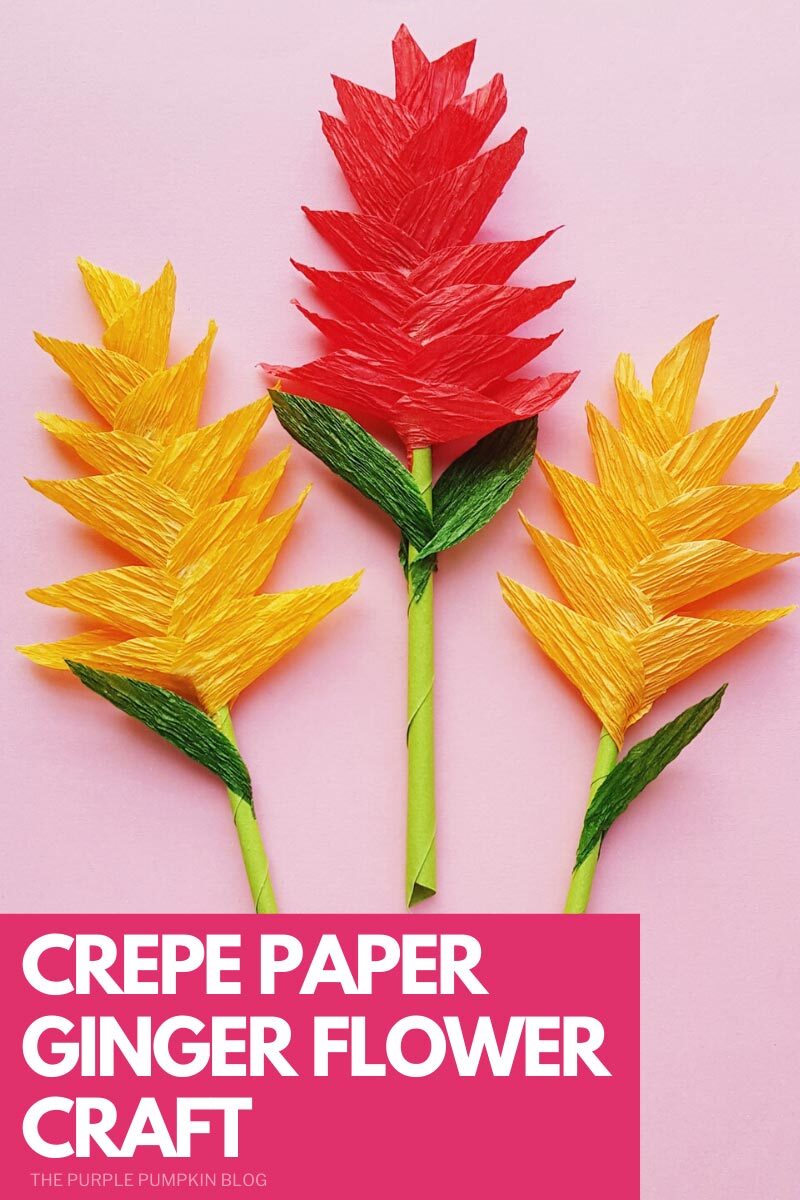 Crepe Paper Ginger Flower Craft