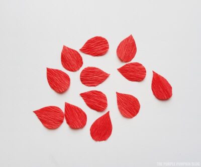 Ginger flower petals