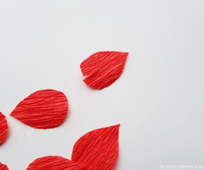Slits cut into petals