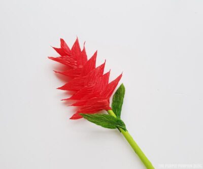 Finished ginger flower