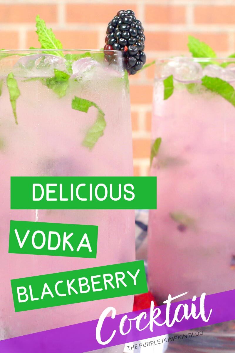 Delicious Vodka Blackberry Cocktail