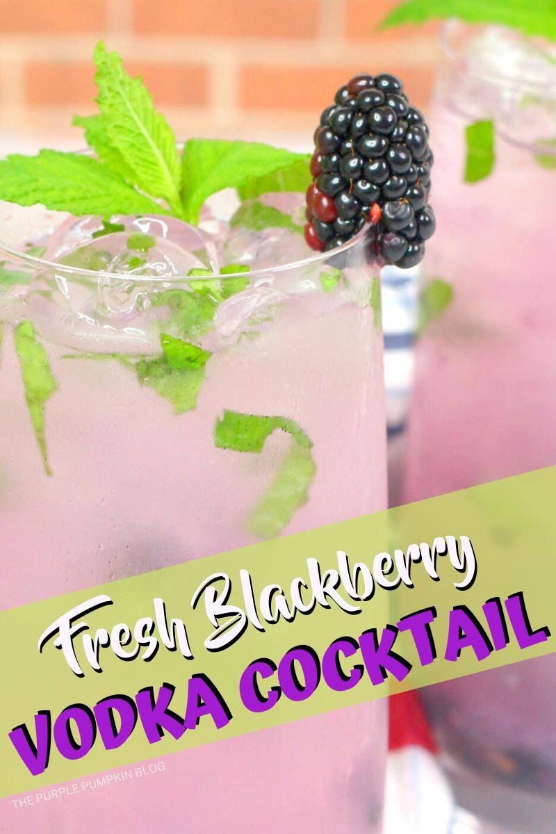 Fresh Blackberry Vodka Cocktail