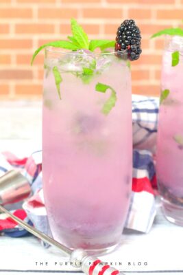 How to make a Blackberry Vodka Cocktail