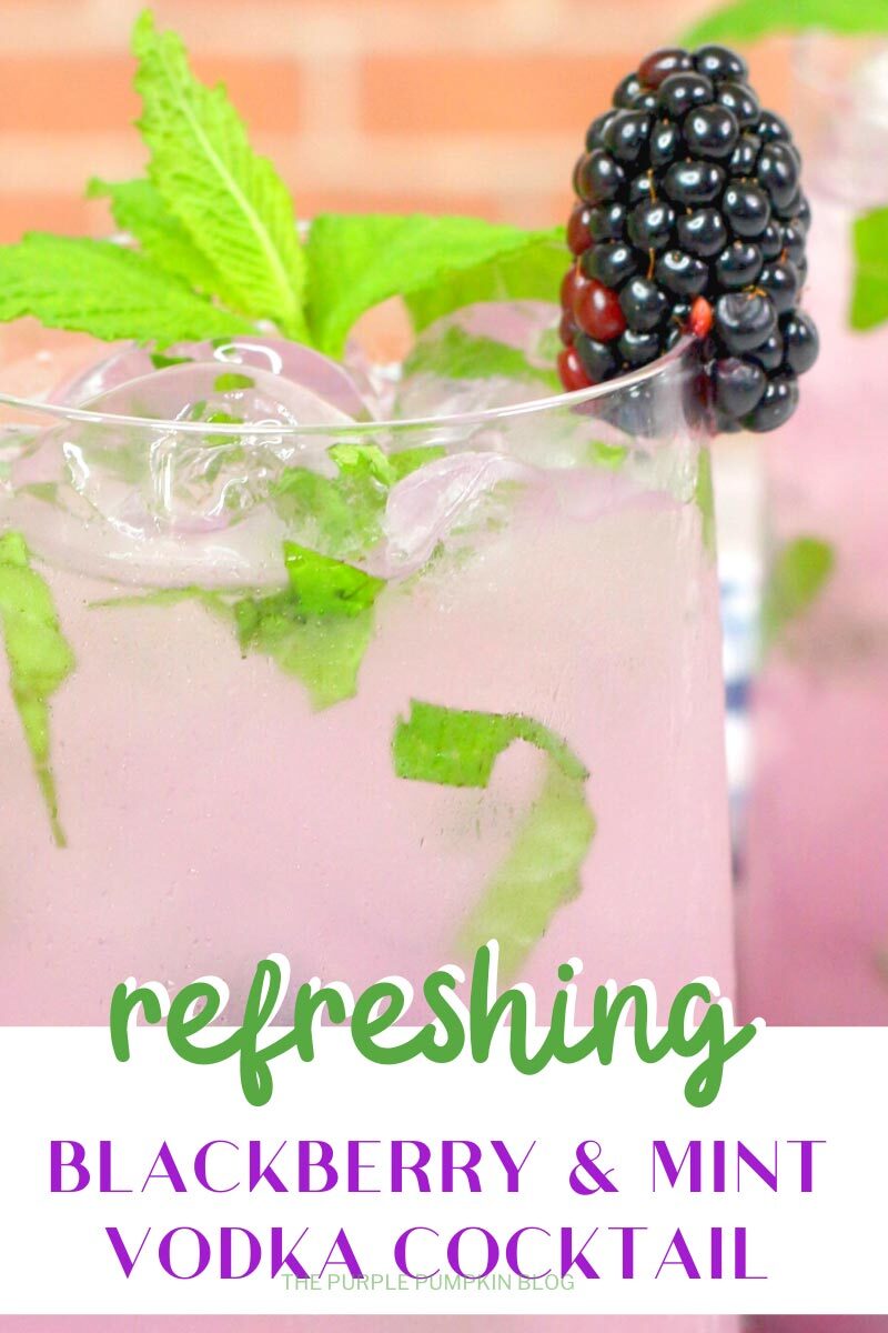 Refreshing Blackberry & Mint Vodka Cocktail