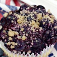 Mini Blueberry Cheesecakes